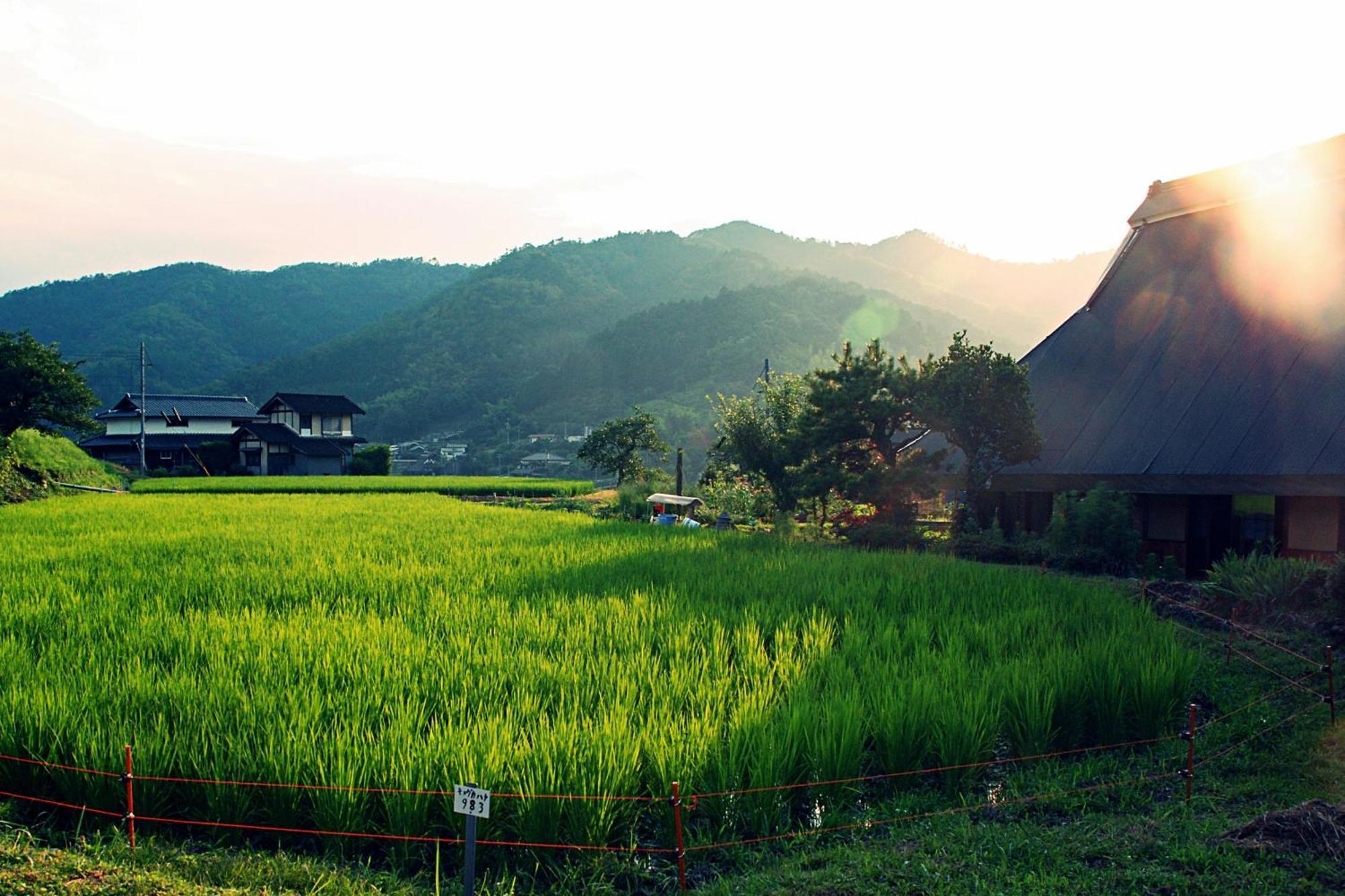 古民家の宿 ふるま家 Furumaya House Gastronomic Farmstay In Deep Kyoto Fukučijama Exteriér fotografie